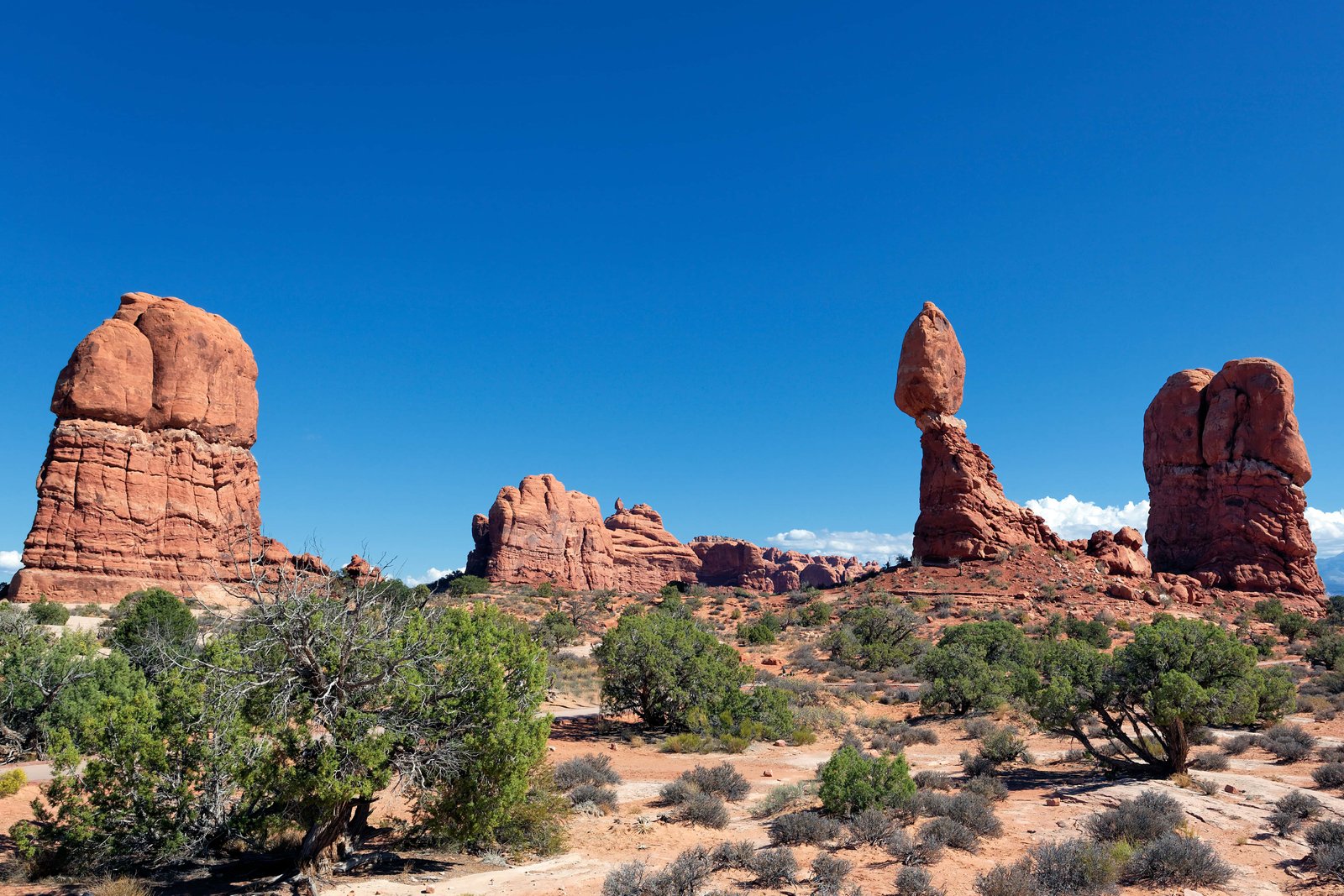 Western Delights Summer-North America 