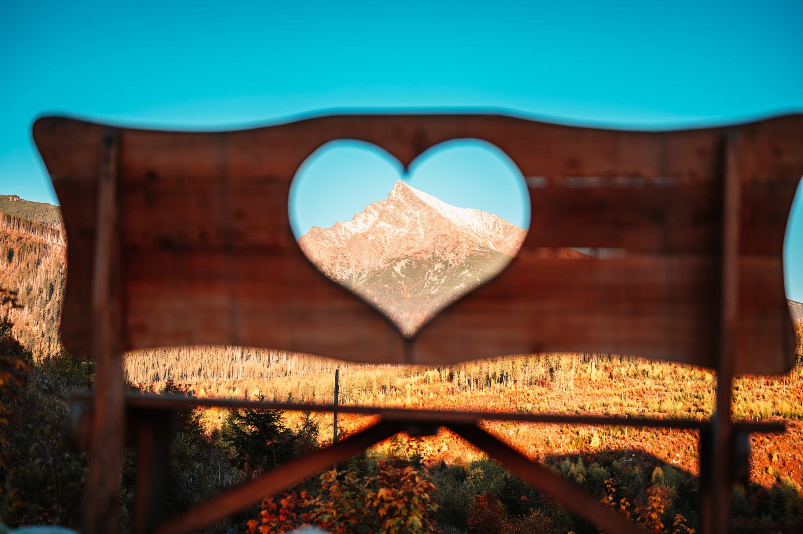 In Love in NewZealand 